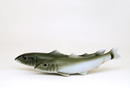 Old Japanese Kutani Studio Fish Ayu Figurine