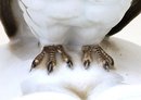 2 Old Japanese Kutani Owl Bookends Figurine