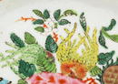 19C Chinese Famille Rose FitzHugh Borde Plate