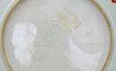 Old Japanese Imari Kutani Plate w Plum Blossom