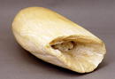 Vintage Eskimo Whale Tooth Scrimshaw