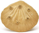 Old Japanese Satsuma 2 Frog Shell Shp Dish
