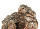 Vienna Austrian Bronze Cold Painted Sculpture Bird Group