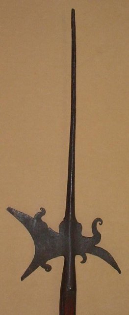 Italian Halberd, Early 17th C