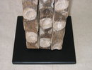 Oyster Farm Wood Bar Lamp
