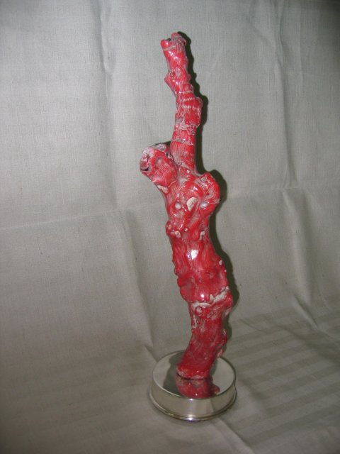 Single Arm Red Coral on Silver Box