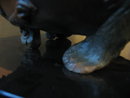 Large Animal Bowl Bronze