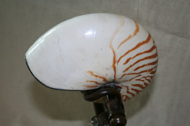 Bronze Nautilus Shell Mermaid Lamp