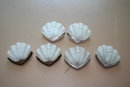 Art Deco Style Shell Wall Sconce