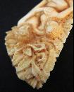 Erotic Ivory Figures