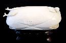 Ivory Clam Shell Carving, Incredible Detail