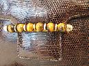 Gucci Vintage Dark Brown Genuine Lizard Handbag Purse