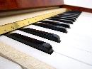 Roxy Electric Organ, Vintage Instrument