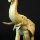 Giant Ivory Elephant