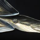 ART NOUVEAU STERLING SILVER SERVING SPOON/FRANK W SMITH/LILY