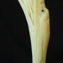 Ivory Pelican Walking Stick, c. 1920s