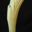 Ivory Pelican Walking Stick, c. 1920s