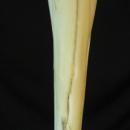 Ivory Pelican Walking Stick, c. 1920s