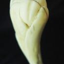 Ivory Pelican Walking Stick, c. 1920s