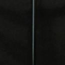 Sterling Silver Waking Stick/Late Victorian/Repoussé