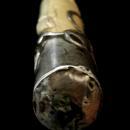 Carved Ivory & Sterling Bug Walking Stick