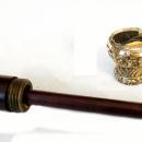Conductors Walking Stick