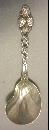 Strawberry Tiffany Berry Spoon Sterling Silver Conch Bowl