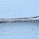Charles II Serving Fork D & H Sterling Silver