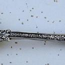 Tiffany Olympian 2 Oval Soup spoons Sterling