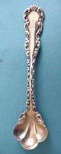 Louis XV Whiting master salt spoon sterling