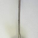 Stieff Williamsburgh Reproductions Pewter Soup Spoon