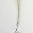 DP Early Tablespoon Coin Silver