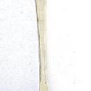 London 1835 Oval dessert Spoon Sterling Silver