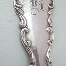 Citrus Spoon Sterling silver bright cut engraved