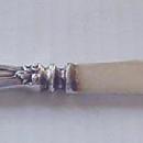 IRIS Durgin (Gorham ) Fruit Knife sterling