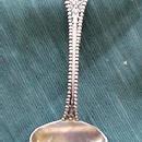 Charles II D & H Sugar Sifter beaded pattern