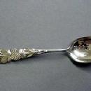 Souvenier spoon