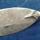 Hand Hammered Old Newbury Crafters Stuffing