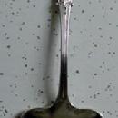 Beekman Fish Serving Fork