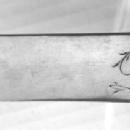 Nathaniel Francis Coin Silver Soup Ladle 1804