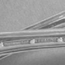 English King Tiffany Sterling 4 salad or fish forks old heavy