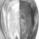 Corinthian Gorham Sterling Berry Spoon engraved bowl