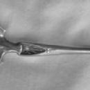 Corinthian Gorham Sterling perserve spoon engraved bowl