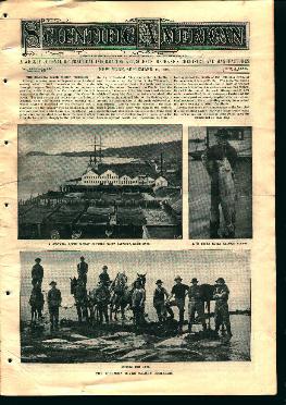 Scienctific American-9/19/96 Salmon Fisheries