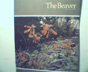 Beaver-Autumn 65'-Honolulu 1856,Laborador,Al
