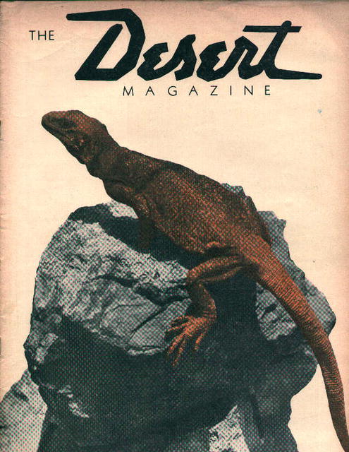 Desert-7/42-Gems and Minerals, Sun Chief!