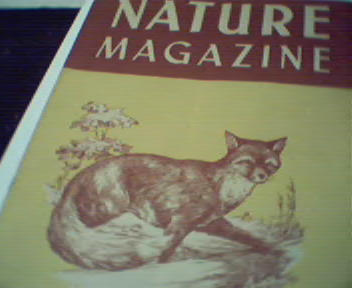 Nature 2/50-Red Fox, Black Walnut,Field Mice