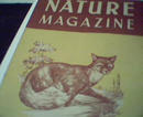 Nature 2/50-Red Fox, Black Walnut,Field Mice