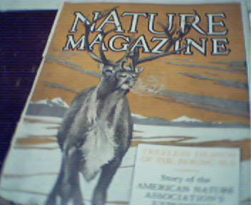 Nature-2/27-Bering Sea,Turtles, Forests!
