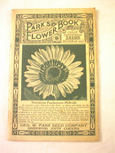 Parker's Flower Book Venidium Fastuosum Hybri